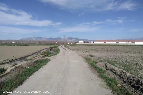 Finca Rústica - GRANADA