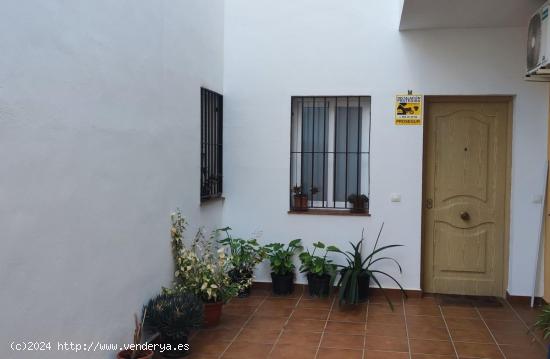  Piso en planta baja de tres dormitorios con garaje y trastero. - MALAGA 