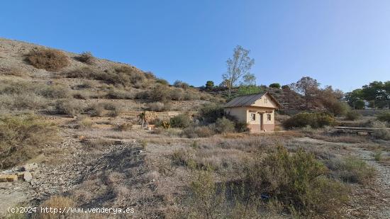 Terreno de 2 hectareas en Los Arejos - MURCIA