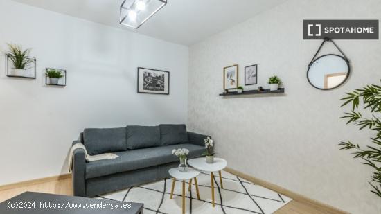 Apartamento entero de 1 habitaciones en Madrid - MADRID