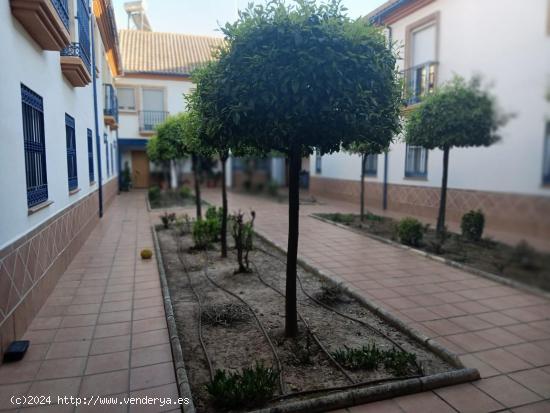 ESPECTACULAR CASA CON PLAZA DE APARCAMIENTO EN MIRAFLORES!!!! - CORDOBA