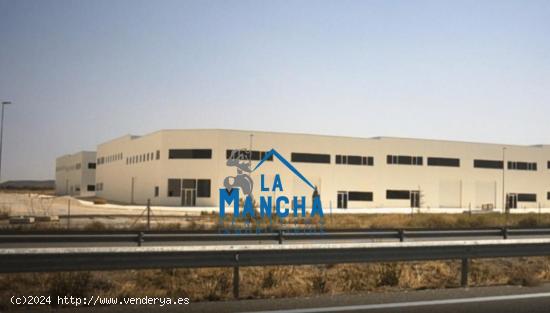 REF: C299 INMOBILIARIA LA MANCHA ALQUILA NAVE INDUSTRIAL POLIGONO DE LOS MOLINOS (CHINCHILLA) - ALBA