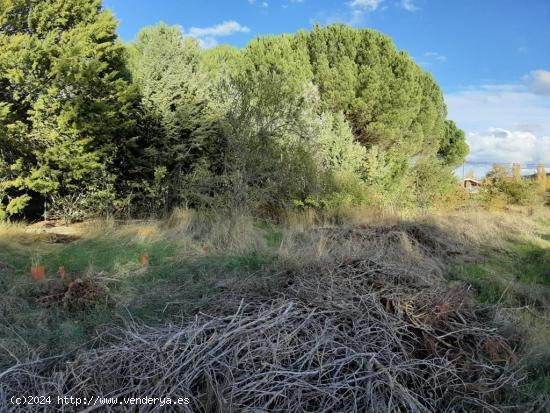 VENTA DE PARCELA - PALENCIA