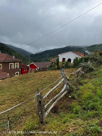 Oportunidad de finca edificable en el entorno natural y montañoso del Valle de Turón - ASTURIAS