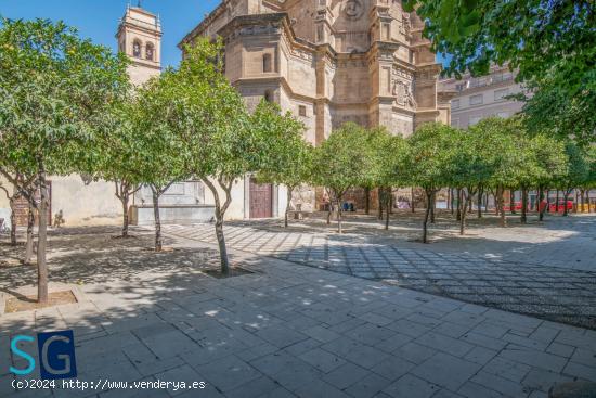  Se Alquila en Granada - GRANADA 