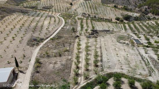 Terreno magnifico - ALMERIA