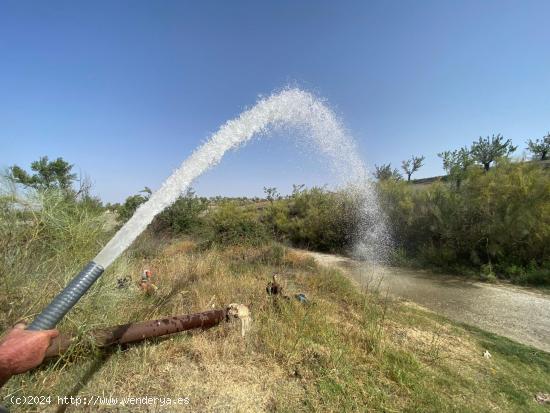 Terreno magnifico - ALMERIA