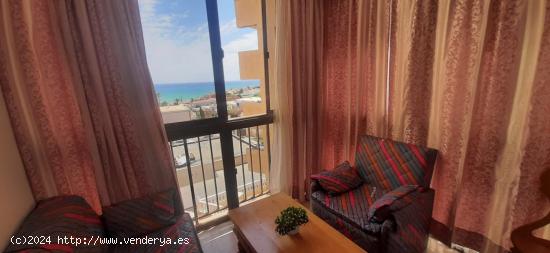 Acogedor apartamento en primera línea de playa - ALICANTE