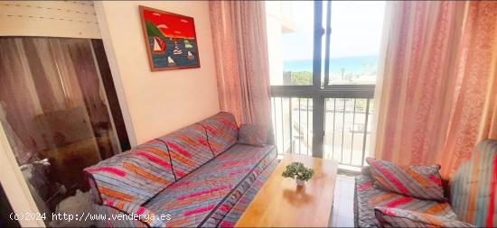 Acogedor apartamento en primera línea de playa - ALICANTE