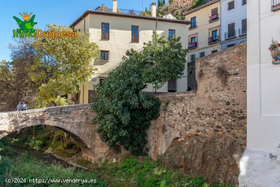 VIVA A FALDAS DE LA ALHAMBRA.... - GRANADA