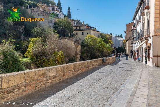 VIVA A FALDAS DE LA ALHAMBRA.... - GRANADA