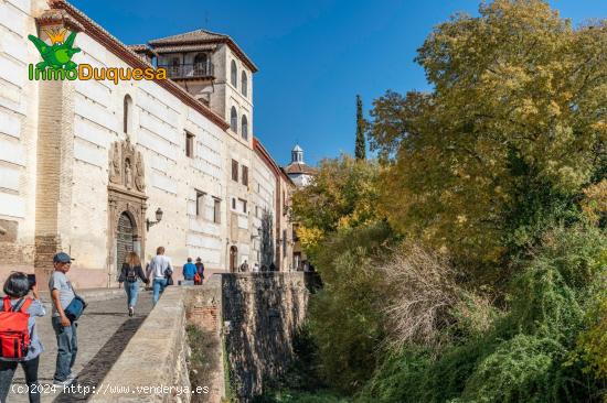 VIVA A FALDAS DE LA ALHAMBRA.... - GRANADA