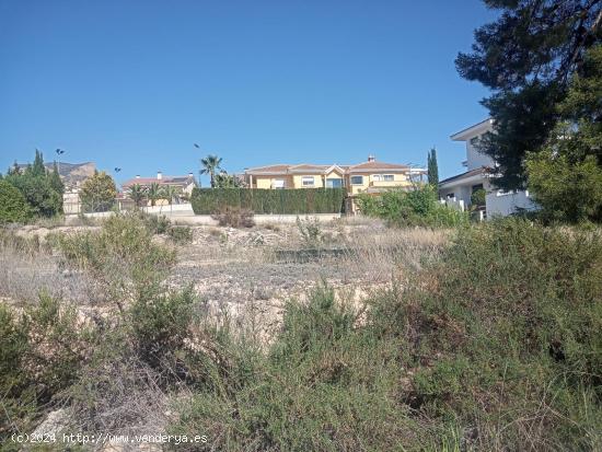 SE VENDEN PARCELAS EN PETRER ( ZONA DE SALINETAS) 840 M2 CADA UNA - ALICANTE