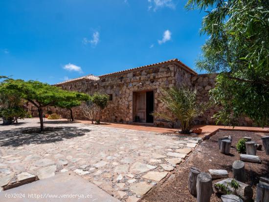 Villa Nagu: Descubre tu Refugio de Ensueño en Fuerteventura. - LAS PALMAS