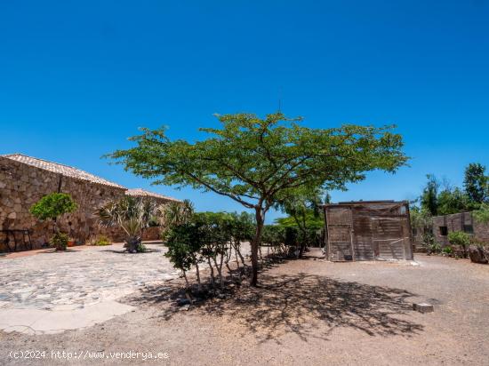 Villa Nagu: Descubre tu Refugio de Ensueño en Fuerteventura. - LAS PALMAS