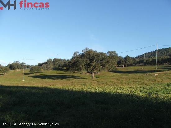 PRECIOSA FINCA DE 11ha CON CASERIO ANTIGUO EN PLENO PARQUE NATURAL SIERRA DE SEVILLA. - SEVILLA