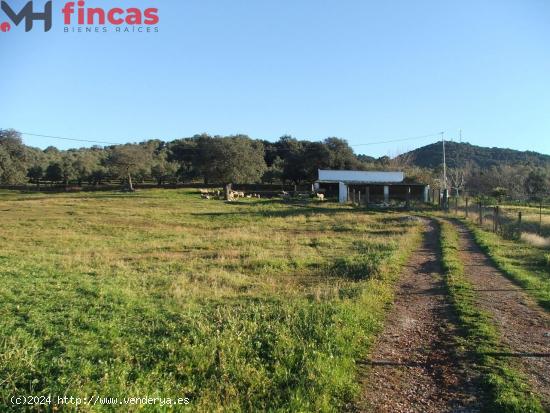 PRECIOSA FINCA DE 11ha CON CASERIO ANTIGUO EN PLENO PARQUE NATURAL SIERRA DE SEVILLA. - SEVILLA