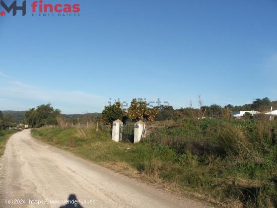 PRECIOSA FINCA DE 11ha CON CASERIO ANTIGUO EN PLENO PARQUE NATURAL SIERRA DE SEVILLA. - SEVILLA