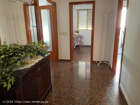 PISO EN VENTA POR MAYORAZGA - CASTELLON