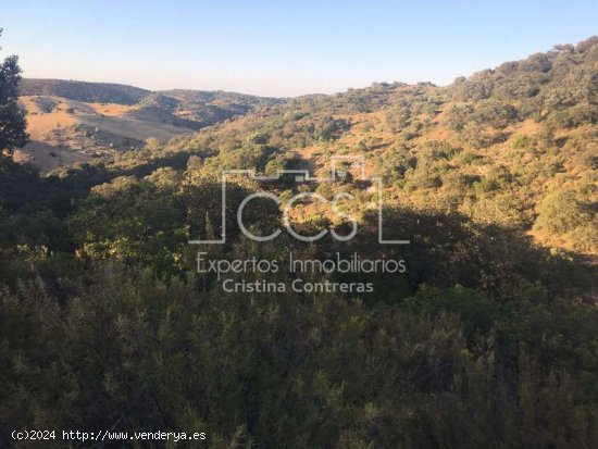  Finca en venta de 97 ha  de dehesa y 650 m2 construidos en total  en La Puebla de Cazalla- Moró 