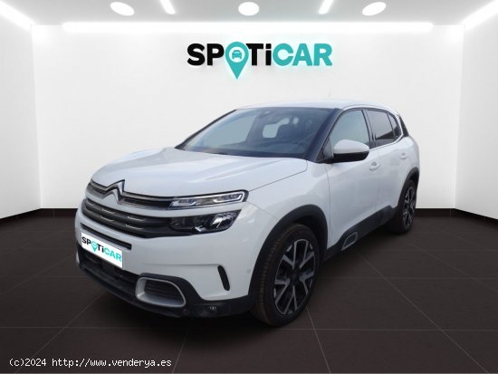 Citroën C5 Aircross BlueHdi 96kW (130CV) S&S Feel - Valencia