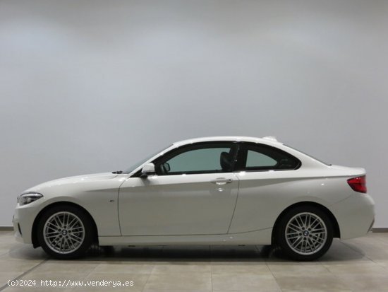 BMW Serie 2 218d coupe 110 kw (150 cv) - San Juan