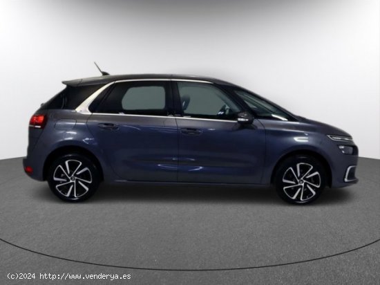 CITROEN C4 Spacetourer en venta en LalÃ­n (Pontevedra) - LalÃ­n