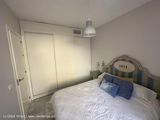 APARTAMENTO AMUEBLADO PLENO CENTRO CORDOBA - CORDOBA