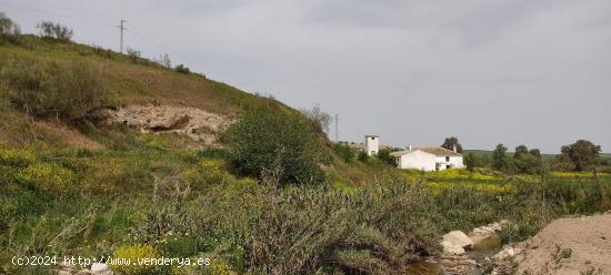 FINCA RÚSTICA EN HERRERA - SEVILLA