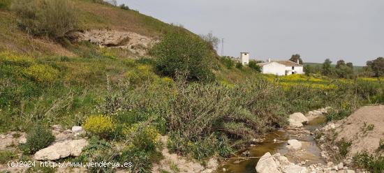 FINCA RÚSTICA EN HERRERA - SEVILLA