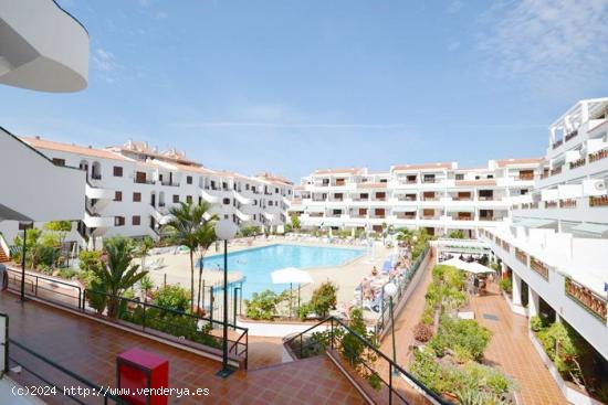  Se vende apartamento de un dormitorio en Victoria Court Los Cristianos - SANTA CRUZ DE TENERIFE 