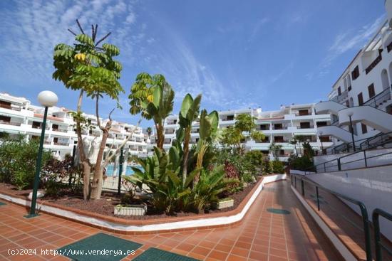 Se vende apartamento de un dormitorio en Victoria Court Los Cristianos - SANTA CRUZ DE TENERIFE