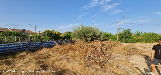 Parcela rústica en el Camino del Badén - MURCIA