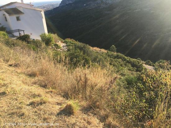 TERRENO TIPO SOLAR EN DENIA - ALICANTE