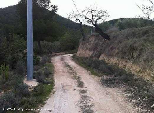 TERRENO RÚSTICO EN RELLEU - ALICANTE