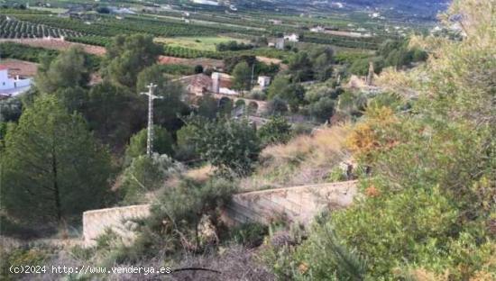 TERRENO TIPO SOLAR EN PEGO - ALICANTE