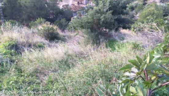 TERRENO TIPO SOLAR EN PEGO - ALICANTE