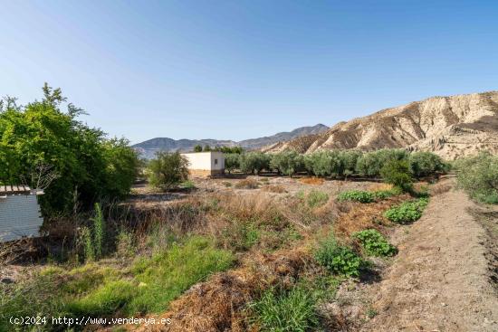  Terreno con Cortijo en Alsodux - ALMERIA 