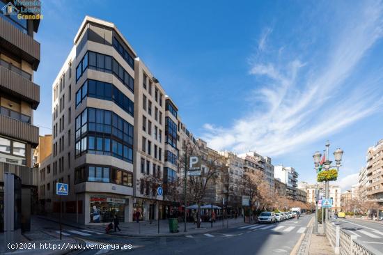 Magnifico piso u oficina en pleno centro de Granada. - GRANADA