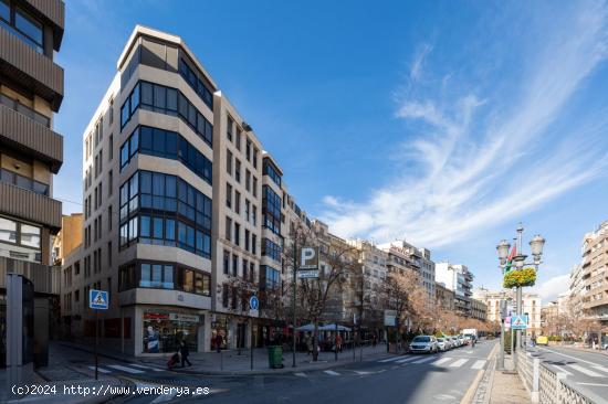 Magnifico piso u oficina en pleno centro de Granada. - GRANADA