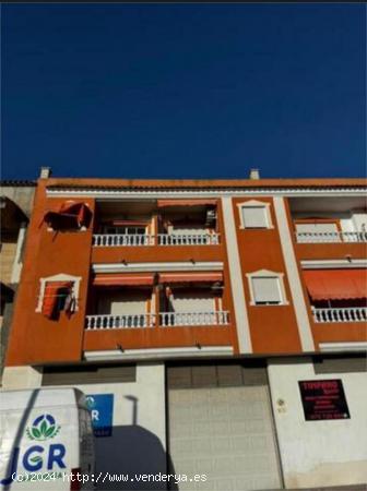 Se Vende en Dolores - ALICANTE