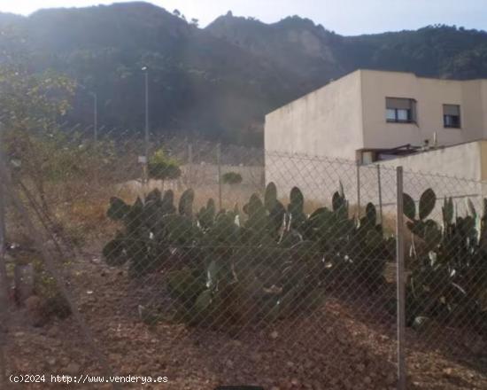  SOLAR JUNTO AL MONTE - MURCIA 