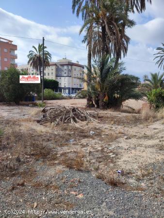  Se vende casa con Terreno en La Marina - ALICANTE 