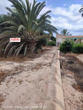 Se vende casa con Terreno en La Marina - ALICANTE