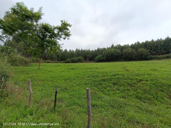 TERRENO RÚSTICO EN ALFOZ DE LLOREDO.- - CANTABRIA