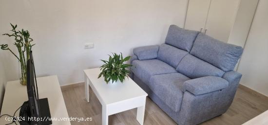  APARTAMENTO EN PALMONES A PIE DE PLAYA - CADIZ 