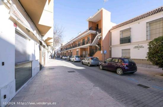 Estupenda vivienda en alquiler vacacional - CADIZ