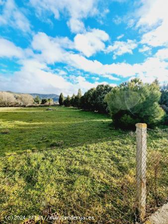 Se Vende en Otero de Herreros - SEGOVIA