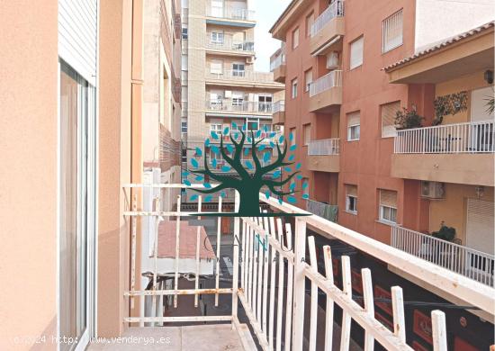  APARTAMENTO A 30 METROS DEL PASEO MARÍTIMO - MURCIA 