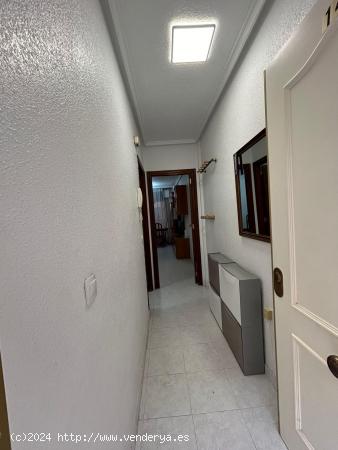 APARTAMENTO EN CALLE CHAPAPRIETA, TORREVIEJA - ALICANTE